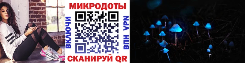 Галлюциногенные грибы Psilocybe  что такое   Завитинск 